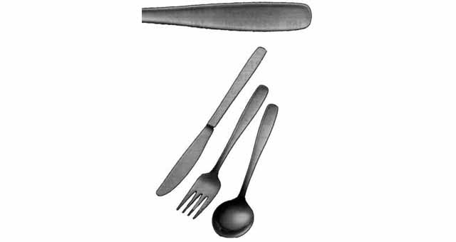 TEASPOON 18-CHROME STAINLESS STEEL PLAIN HANDLE