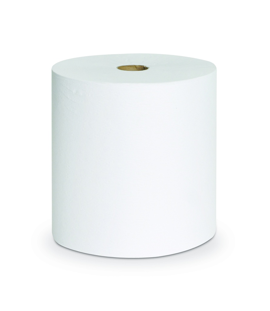 PAPER TOWEL ROLLED W/ECO LOGO, ECONOMIC 200MMX300MM 6'S/BOX